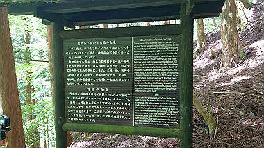 2022-07-24_11-07-50_000_thumb.jpg