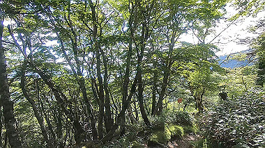 gx016870.mp4_snapshot_00.23_thumb.jpg