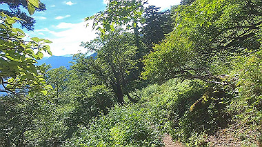 gx016870.mp4_snapshot_00.59_thumb.jpg