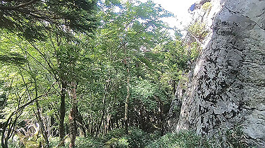 gx016877.mp4_snapshot_00.04_thumb.jpg