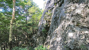 gx016877.mp4_snapshot_00.16_thumb.jpg