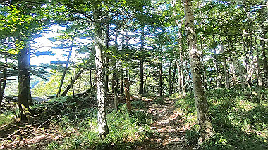 gx016878.mp4_snapshot_00.00_thumb.jpg