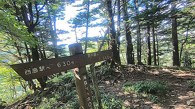 gx016878.mp4_snapshot_00.07_thumb.jpg