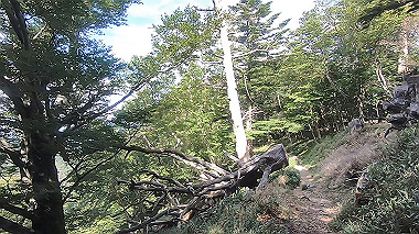 gx016878.mp4_snapshot_01.50_thumb.jpg