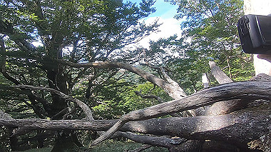 gx016878.mp4_snapshot_02.05_thumb.jpg