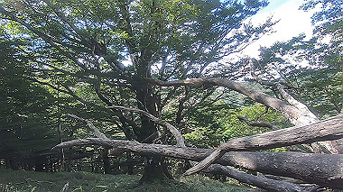 gx016878.mp4_snapshot_02.06_thumb.jpg