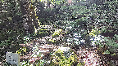 gx016879.mp4_snapshot_00.01_thumb.jpg