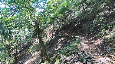 gx016879.mp4_snapshot_00.31_thumb.jpg