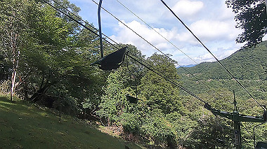 gx016880.mp4_snapshot_00.48_thumb.jpg