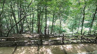 gx016885.mp4_snapshot_01.47_thumb.jpg