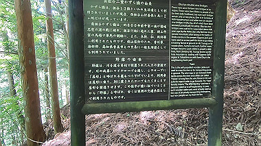 gx016885.mp4_snapshot_02.11_thumb.jpg