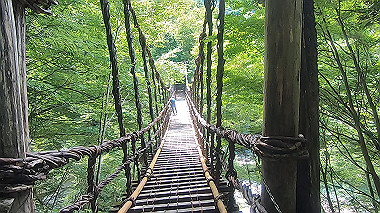 gx016885.mp4_snapshot_03.23_thumb.jpg