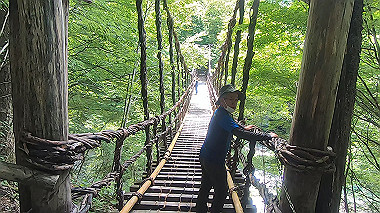 gx016886.mp4_snapshot_00.00_thumb.jpg