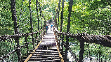 gx016887.mp4_snapshot_00.06_thumb.jpg