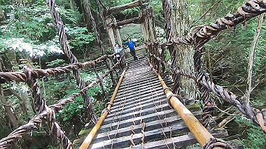 gx016887.mp4_snapshot_02.42_thumb.jpg