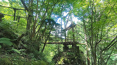 gx016888.mp4_snapshot_00.00_thumb.jpg
