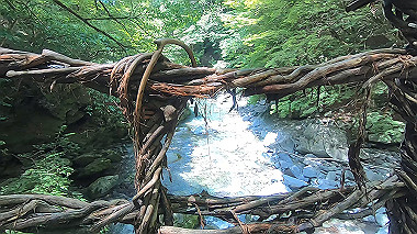 gx016892.mp4_snapshot_00.36_thumb.jpg