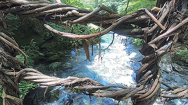 gx016892.mp4_snapshot_00.58_thumb.jpg