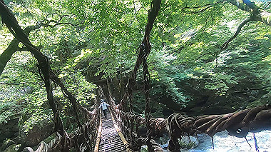 gx016892.mp4_snapshot_01.29_thumb.jpg