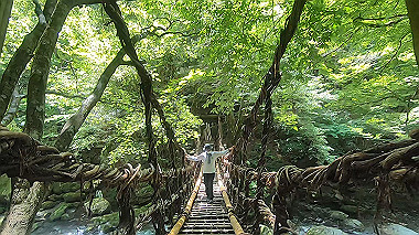 gx016893.mp4_snapshot_00.00_thumb.jpg