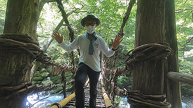 gx016893.mp4_snapshot_00.11_thumb.jpg