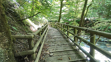gx016893.mp4_snapshot_00.23_thumb.jpg