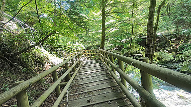 gx016893.mp4_snapshot_00.28_thumb.jpg