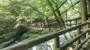 gx016893.mp4_snapshot_00.37_thumb.jpg
