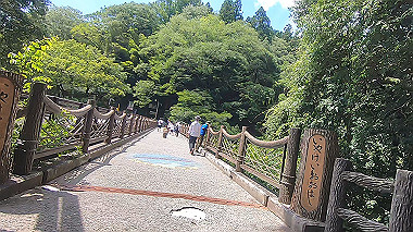 gx016894.mp4_snapshot_00.15_thumb.jpg