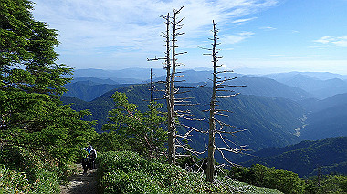 p7241082_thumb.jpg