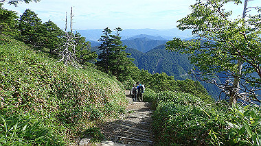 p7241084_thumb.jpg