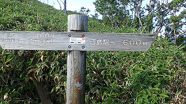 p7241087_thumb.jpg