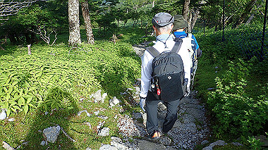 p7241088_thumb.jpg