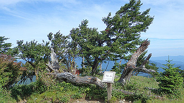 p7241093_thumb.jpg