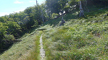 p7241096_thumb.jpg