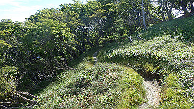 p7241097_thumb.jpg