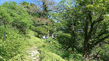 p7241098_thumb.jpg