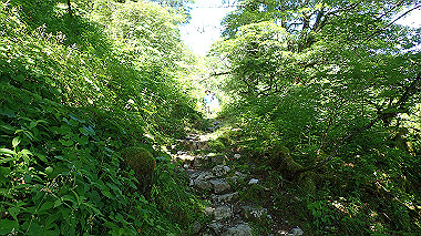 p7241099_thumb.jpg
