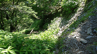 p7241100_thumb.jpg