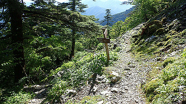 p7241102_thumb.jpg