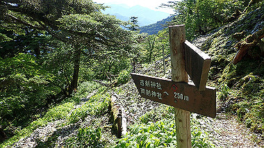 p7241105_thumb.jpg