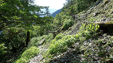 p7241106_thumb.jpg