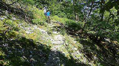 p7241108_thumb.jpg