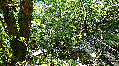p7241109_thumb.jpg