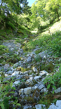 p7241111_thumb.jpg