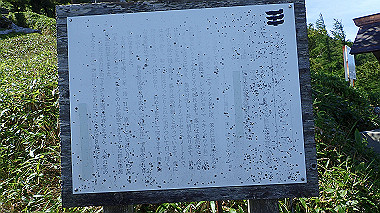 p7241113_thumb.jpg