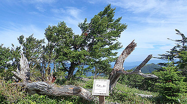 p7241115_thumb.jpg