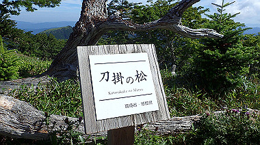 p7241116_thumb.jpg