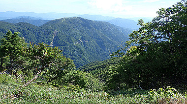 p7241117_thumb.jpg