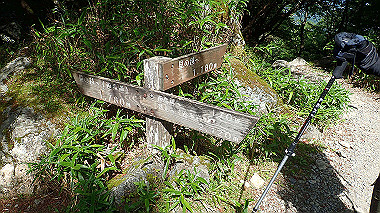 p7241127_thumb.jpg